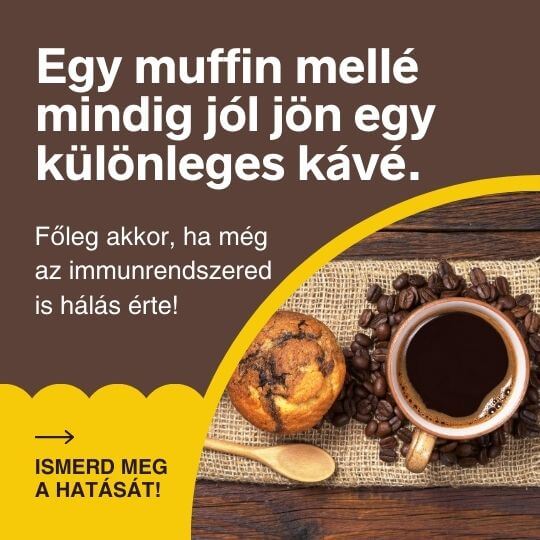 ganodermás kávé